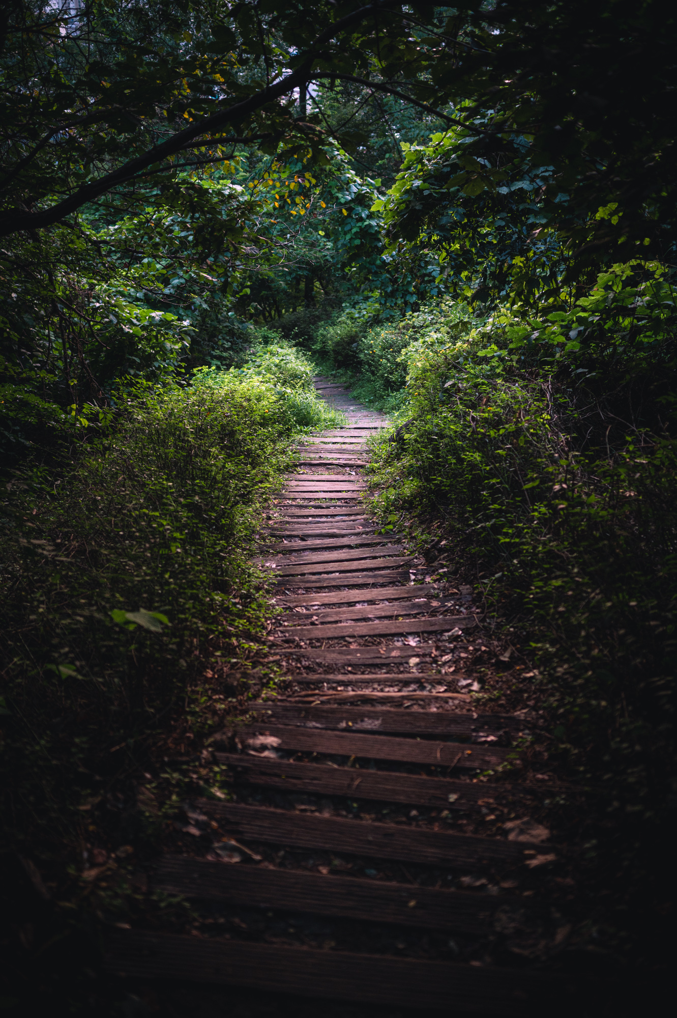 Seoul after midnight